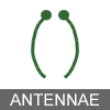 Insect antennae icon