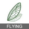 Flying insect icon