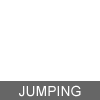 Jumping insect icon