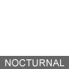 Nocturnal insect icon