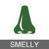 Smelly insect icon