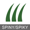 Spiny / Spiky insect icon