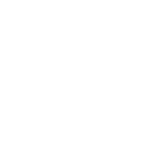 Icon image of a smartphone