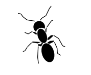 Silhouette image of an ant