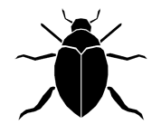Silhouette image of a beetle insect