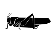 Silhouette image of a grasshopper