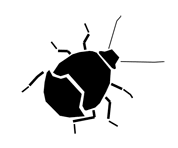 Silhouette image of a soldier bug